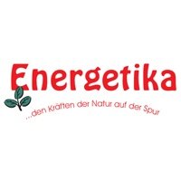 Energetika Bühl, Baden 2013