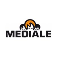 Mediale Hambourg 2013