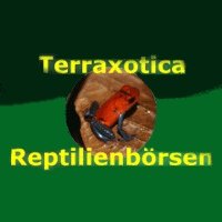 Terraxotica Neumünster 2012
