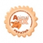 Animal´EX Kiev