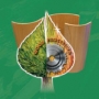 Woodprocessing
