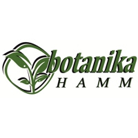Botanika Hamm 2022 Botanika 2022 Hamm