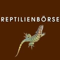 Reptilienbörse  Offenbourg