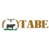 TABE  Dodoma