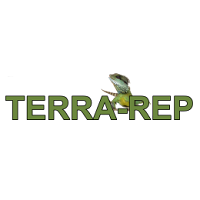 TERRA-REP 2025 Heinsdorfergrund