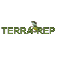 TERRA-REP 2024 Heinsdorfergrund