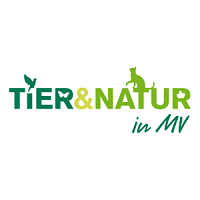 Tier & Natur in MV  Rostock