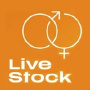 Live Stock, Brno