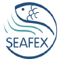 SEAFEX, Dubaï