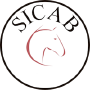 SICAB, Séville